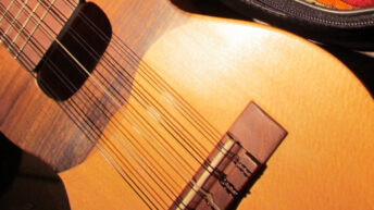 Charango de alta calidad - Luthier