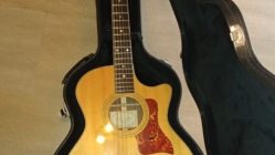 Guitarra Taylor 12 Cuerdas Limited Edition 454ce-L2 - Usada impecable