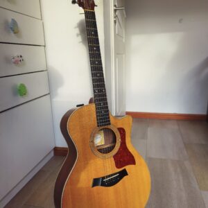 Taylor 414 CE Fall Limited Edition Electro-Acoustic Guitar (immaculate)