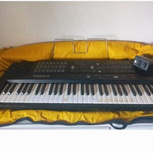 Teclado Roland E-14 - Sonidos Cumbieros Clásicos (Usado en buen estado)