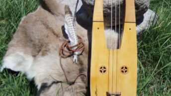Gnaal - Tagelharpa o Jouhikko de Luthier (Espen Winther Model)